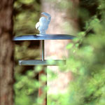 loom living beo - das Vogelhaus stehend mit Spatz